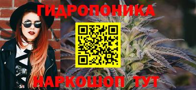 jwh Аргун