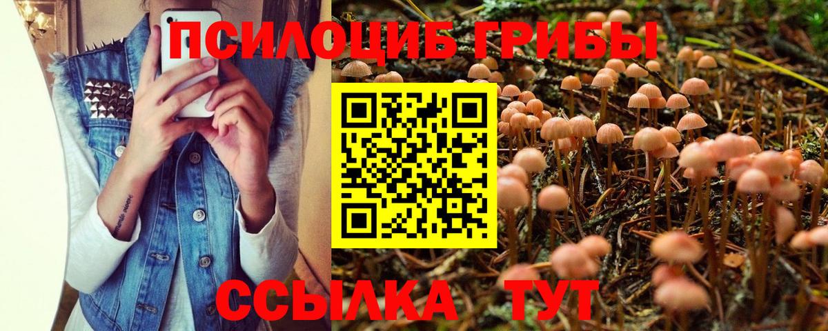 Артёмовский  Псилоцибиновые грибы GOLDEN TEACHER  Вход с VPN 